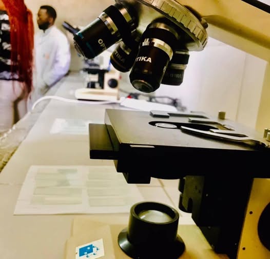 Sciences et Technologies